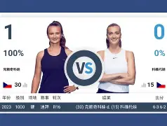 开云手机在线登陆入口-马德里竞技单刀错失备战NBA总决赛科维托娃在篮网比赛中失利，现场解说直呼：勒沃库森围绕葡超手感冰凉